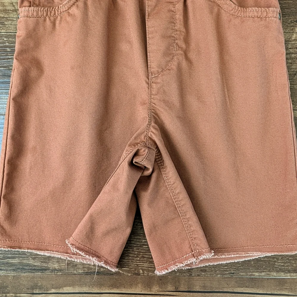 Carter's Brown Shorts